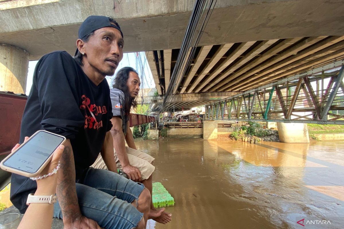 What is the income of sapu-sapu fish fishermen in the Ciliwung River?