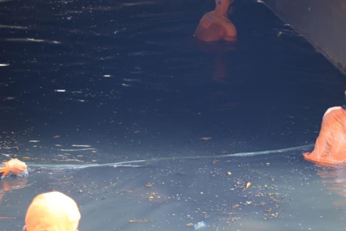 Jakarta North City Government Cleans Kelapa Gading Connecting Canal of Sailfin Catfish
