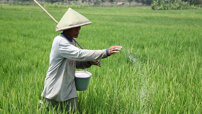 Indonesia's Top 10 Fertiliser Import Suppliers, with China Leading