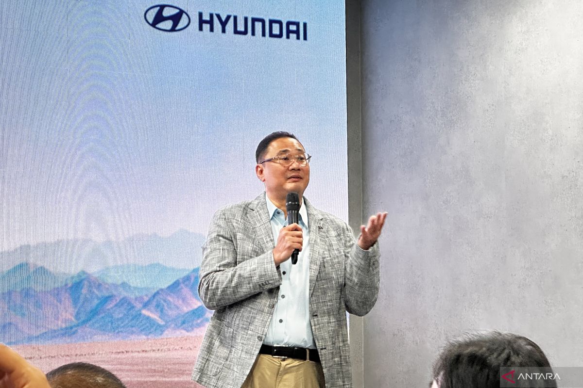 Hyundai holds vehicle prices despite rising plastic costs and production expenses