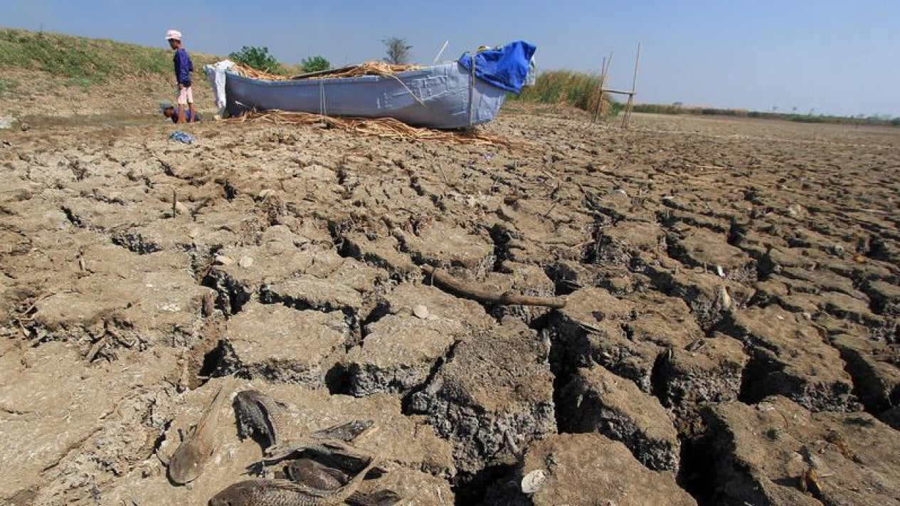Will Indonesia Experience the Worst Drought in 2026? BMKG's Explanation