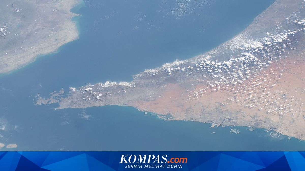 Pertamina Still Endeavouring for Two Tanker Ships to Pass Through the Strait of Hormuz