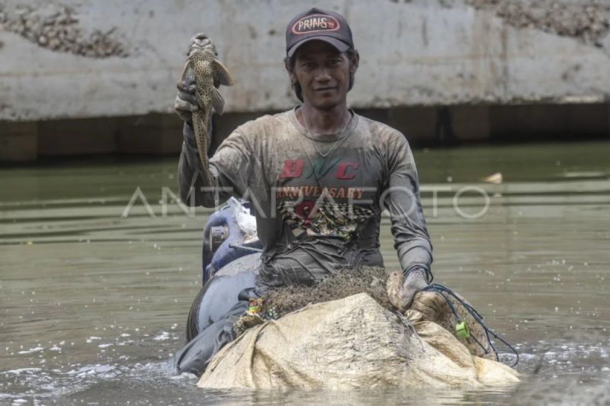 South Jakarta Food Security, Maritime, and Agriculture Agency Destroys Sailfin Catfish by Slicing and Burying