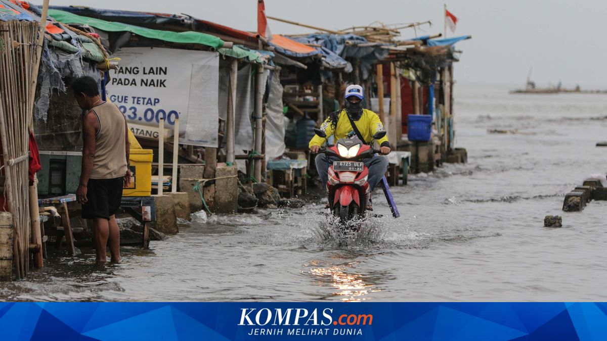 Beware! 12 Coastal Areas of Jakarta at Risk of Tidal Flooding