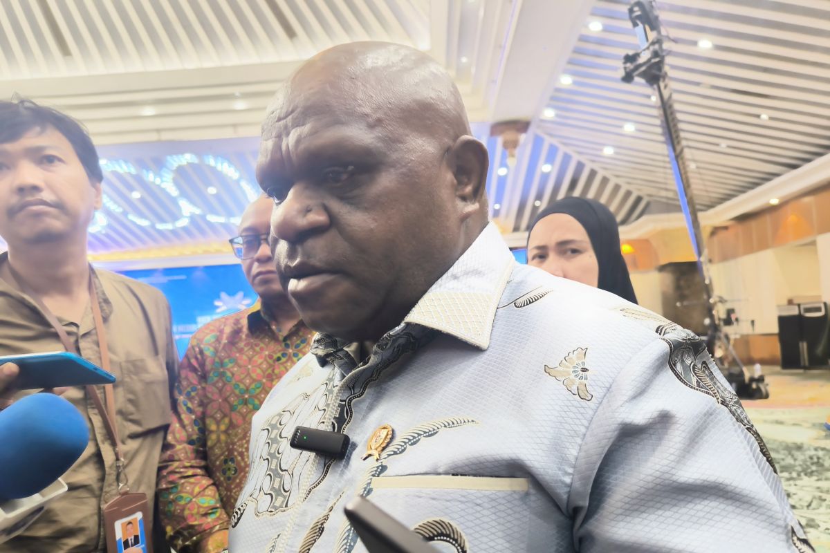 Human rights minister urges probe into Central Papua fatal shooting