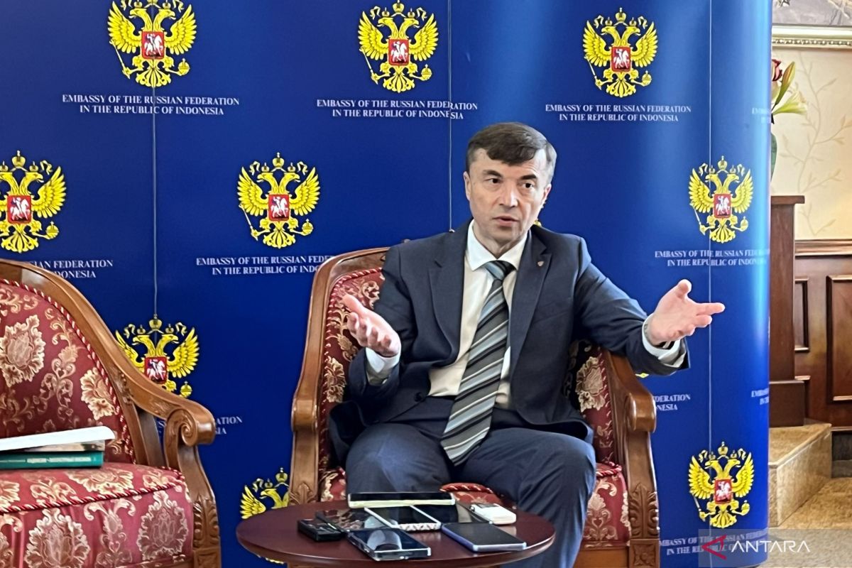 Russian Ambassador: Escalation of Middle East Conflict Threatens Global Stability