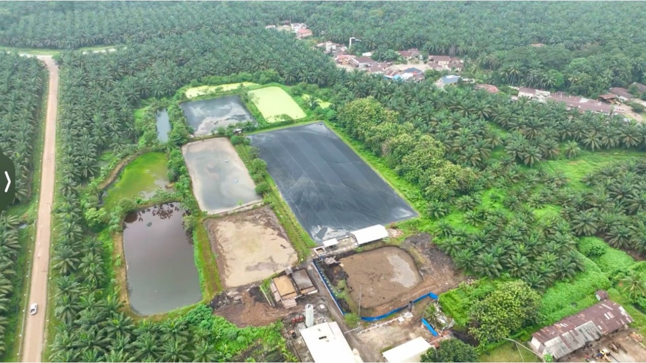 From Waste to Profit