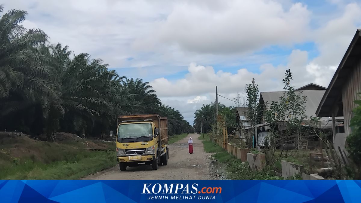 Palm Oil Farmers in South Pesisir, West Sumatra, Face Potential Annual Losses of Rp 492 Billion, Deductions the Main Culprit