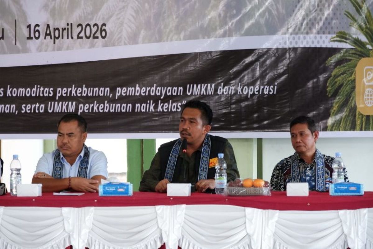 SPKS urges government to increase profit-sharing funds for palm oil producing regions