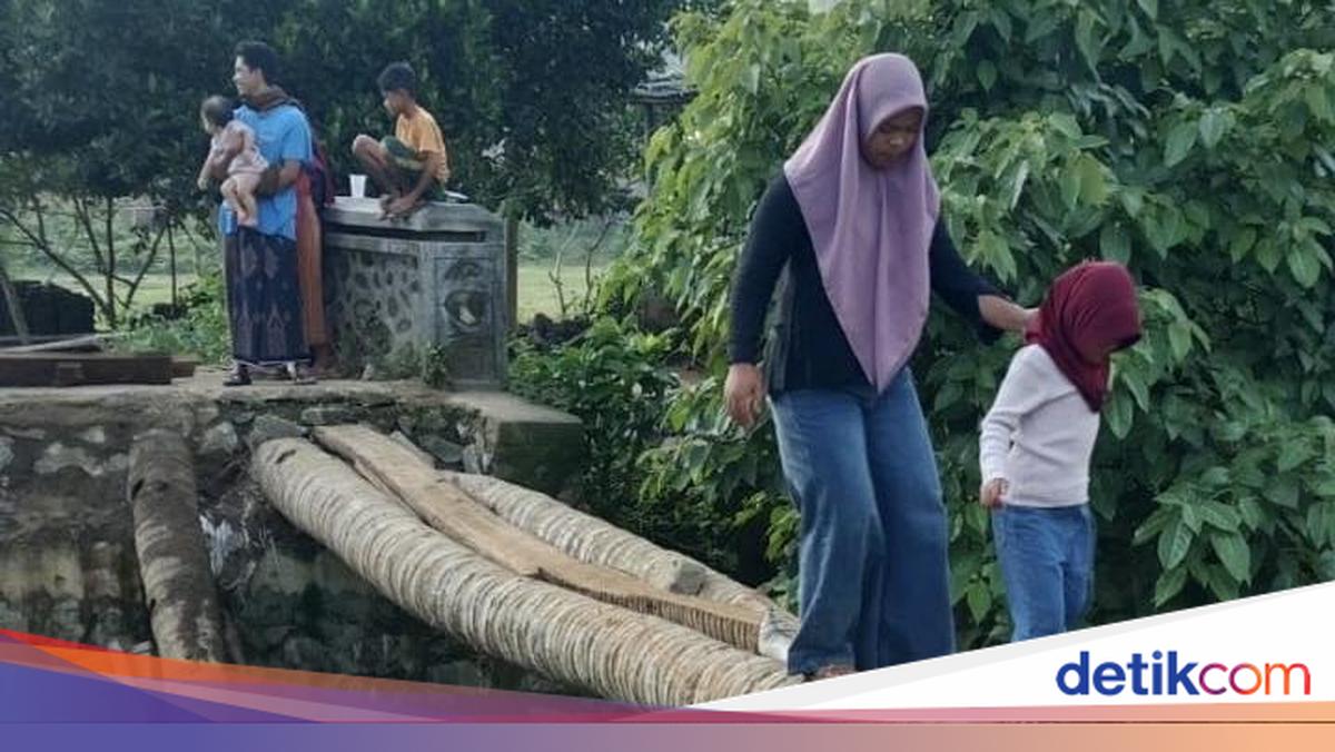 Emergency Bridge in Lembar Collapses, Residents Install Coconut Tree Trunks - Activities Paralyzed