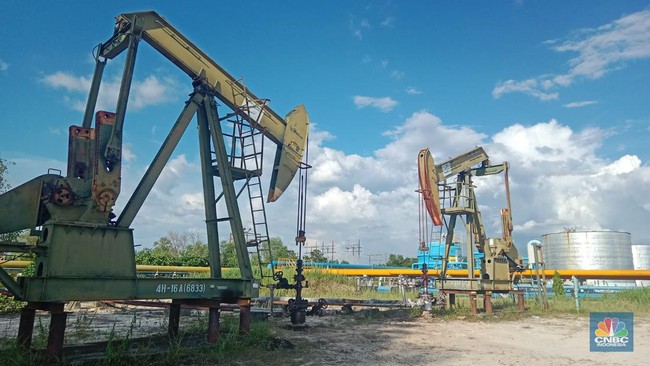 Indonesia Secures Crude Oil Supply from Russia: How Much?