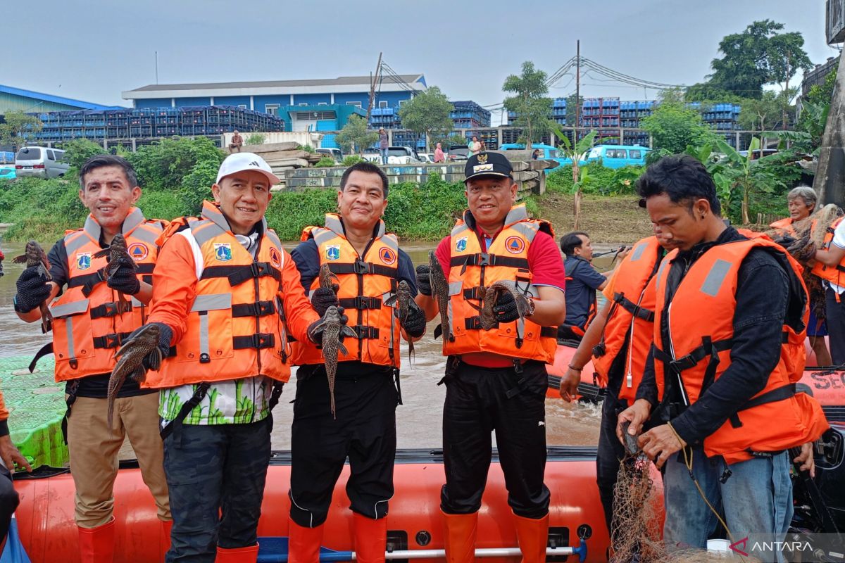 East Jakarta City Government Preserves Ecosystem Through Operation to Catch Sailfin Catfish