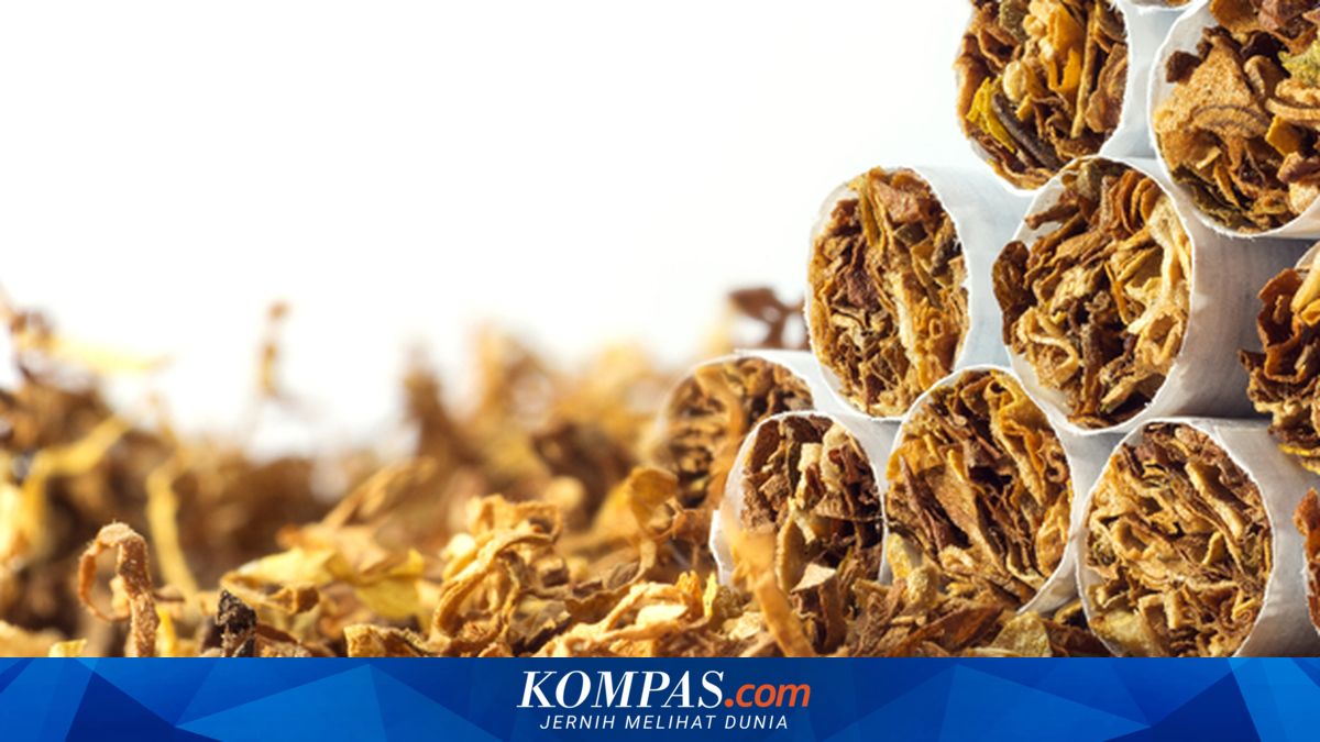 CISDI Says RI Excise Hike Does Not Make Cigarettes Expensive