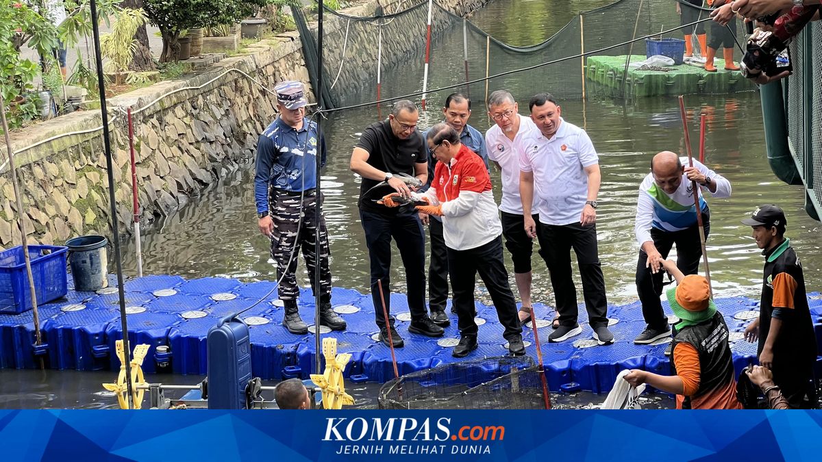 Pramono Personally Oversees Plecostomus Fish Capture in Elite Housing River