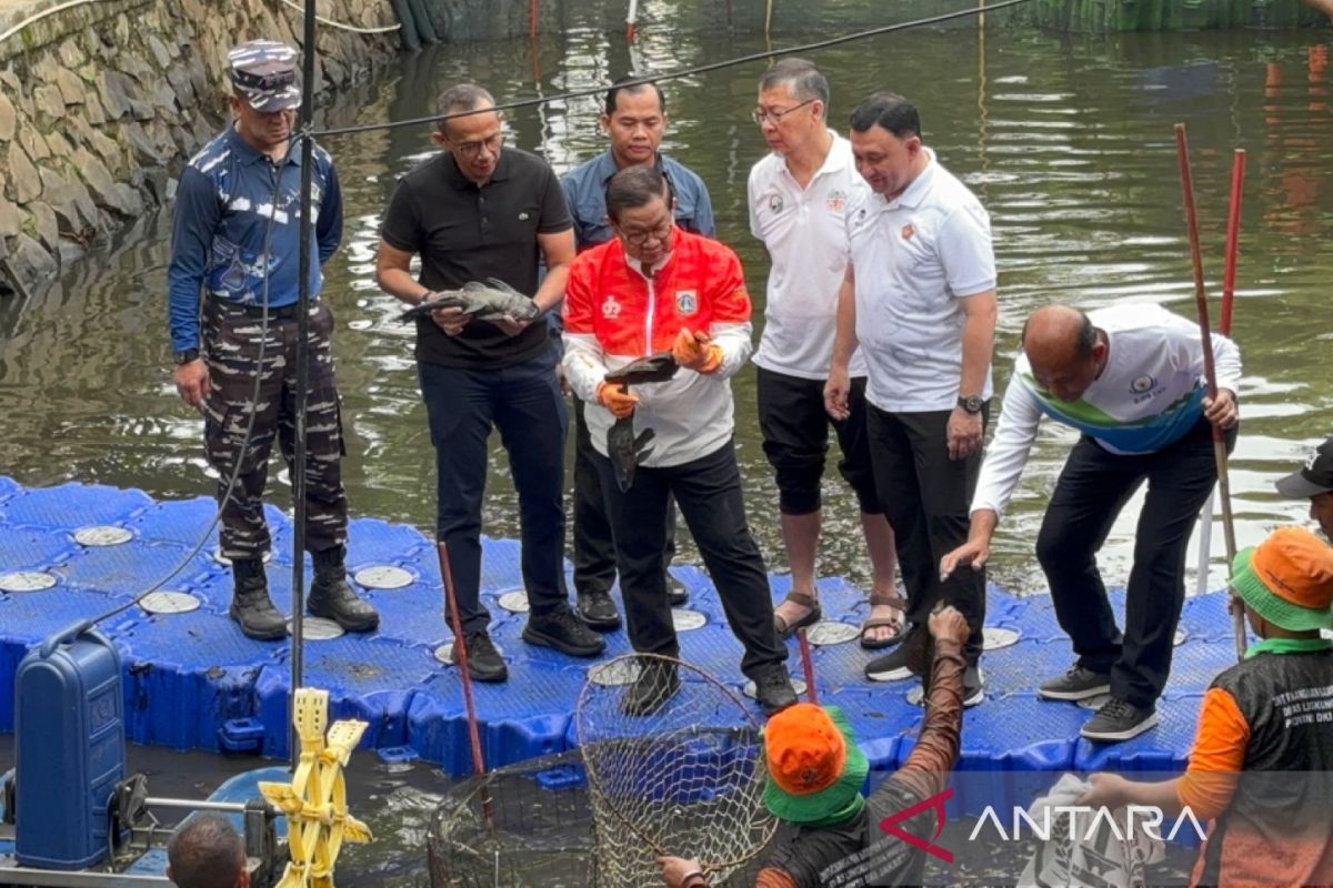 Deemed disruptive to ecosystem, Pram reviews capture of sailfin catfish