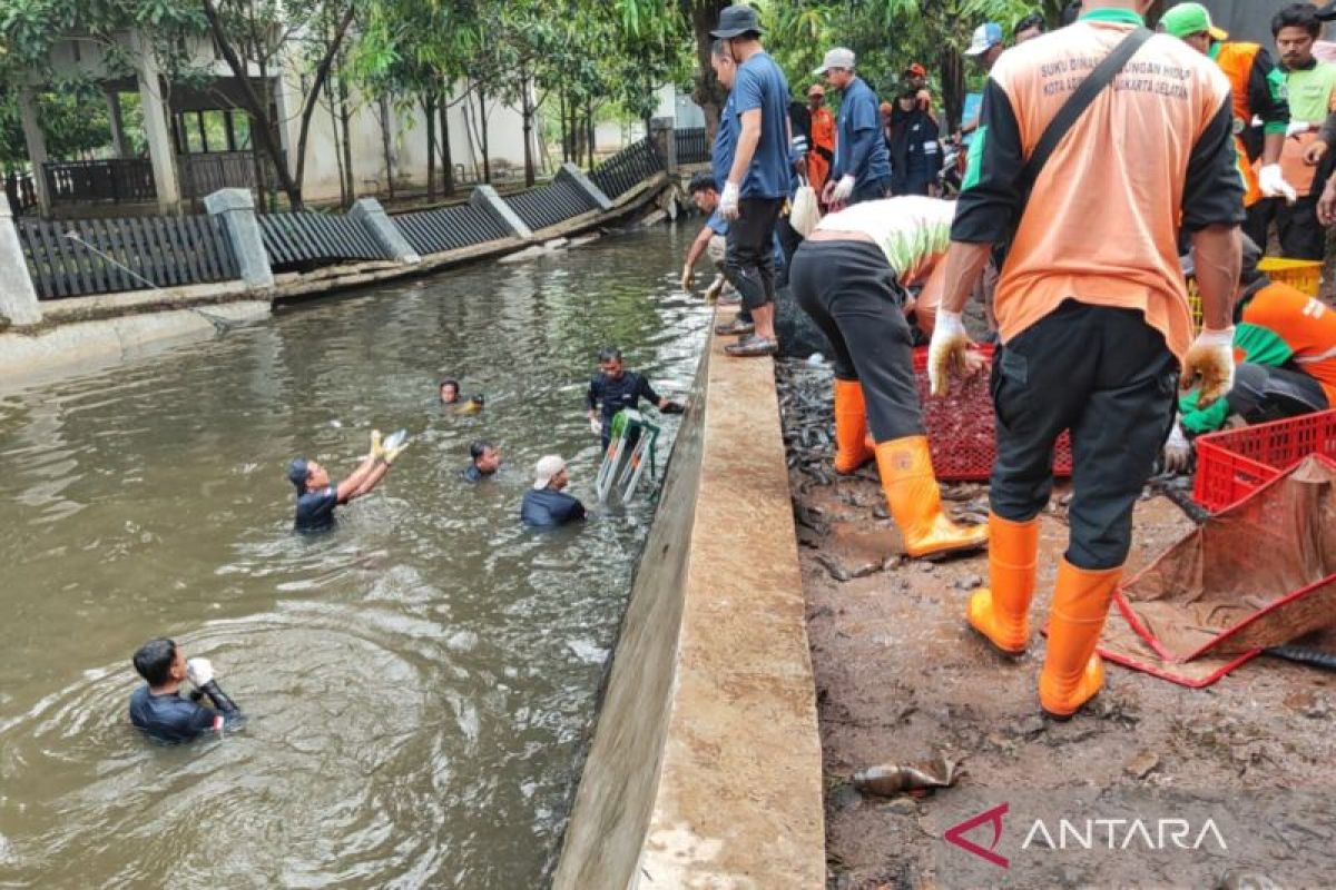 South Jakarta City Government Targets Capture of 5 Tonnes of Plecostomus Fish at Setu Babakan