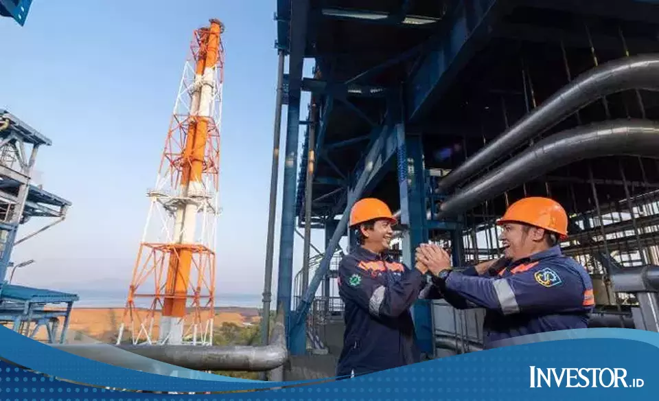 Antam's Mega Expansion (ANTM): Share Price Could Jump Here