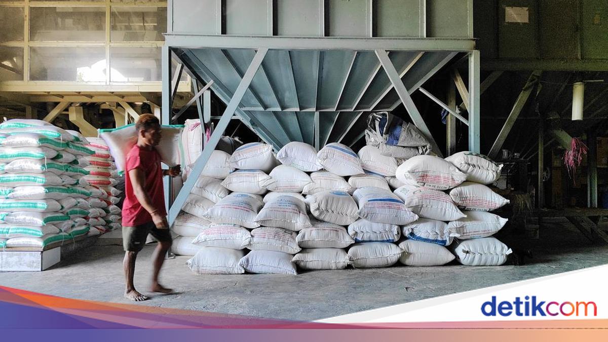 Rice Prices in Badung Rise to Rp 13,700 per Kilogram
