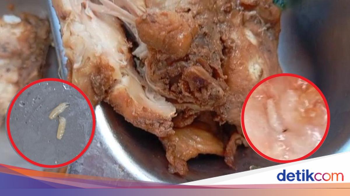 Viral MBG Menu in Lembata, NTT Contains Wriggling Larvae, SPPG Head Responds