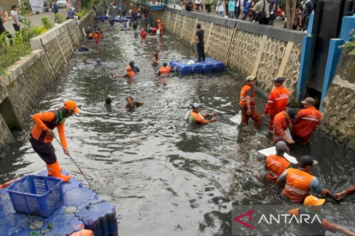 Pramono plans to establish special PJLP to handle plecostomus fish