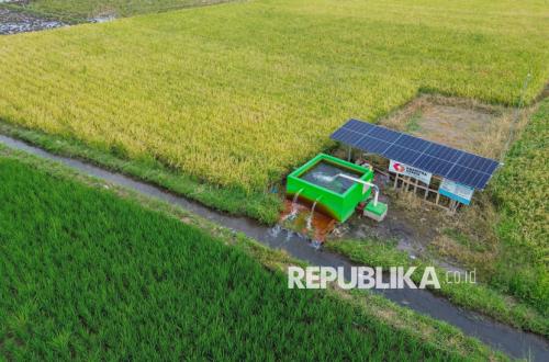 Agriculture Minister Amran Prepares Rp5 Trillion, Dry Land Can Harvest Three Times