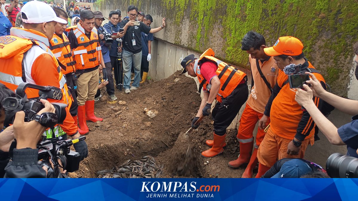 763 kg of Plecostomus Fish Seized in East Jakarta and Immediately Buried