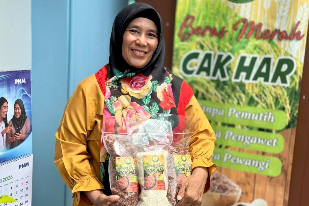 Discovering Opportunities to Grow Her Business, Mardiana Chooses to Advance with PNM Mekaar