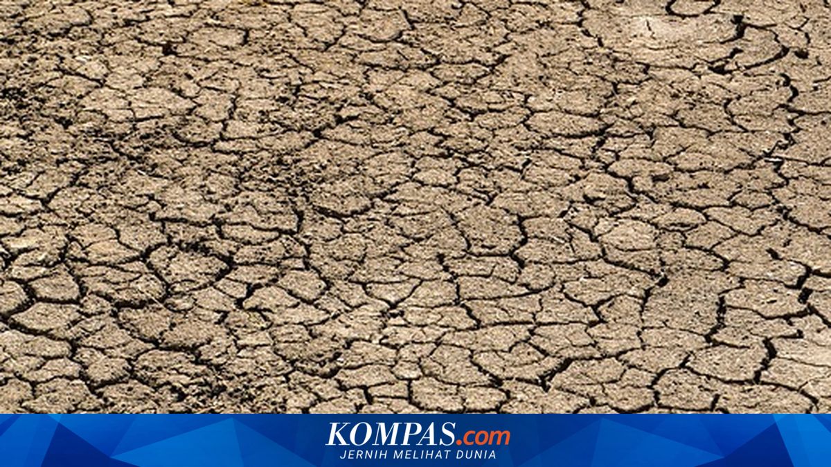 The Shadow of Economic Turmoil Due to the "Godzilla" El Niño