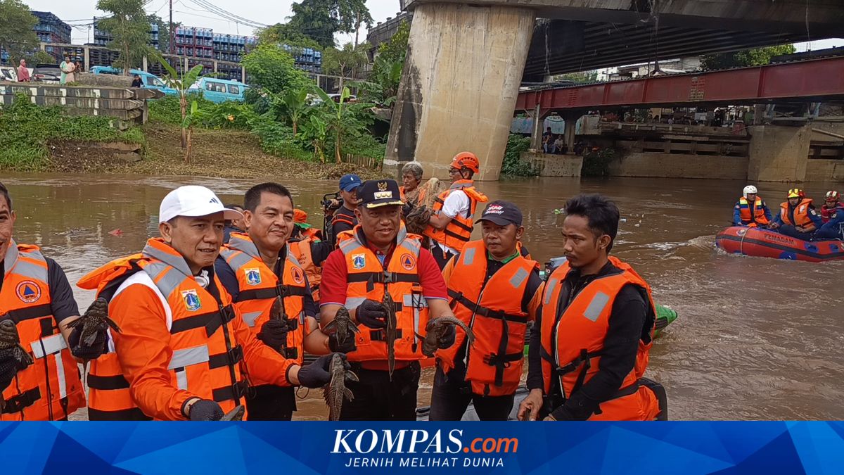 East Jakarta City Government Plans Incentives for Residents Helping Capture Plecostomus Fish
