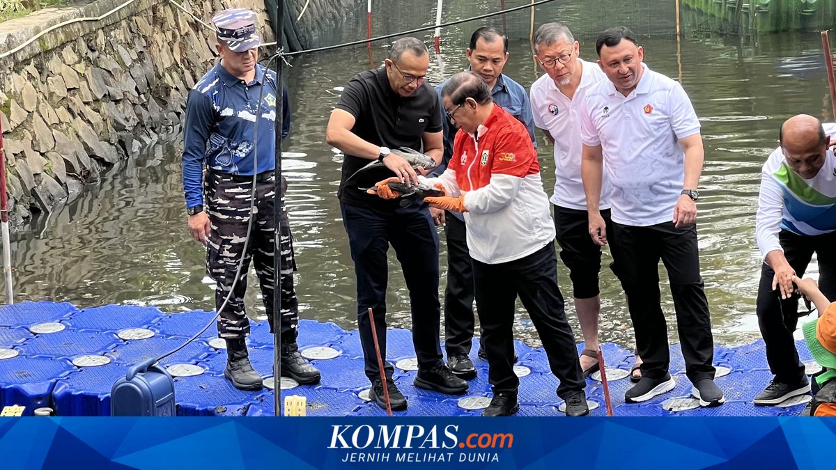 Pramono: The Sailfin Molly is Cute but Dangerous