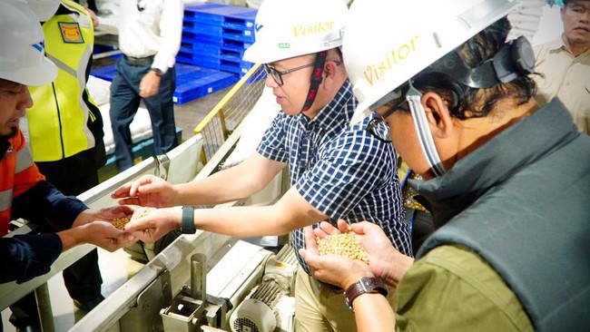 Soybean Importers, Don't Be Naughty! Caught Doing This – Permit Revoked