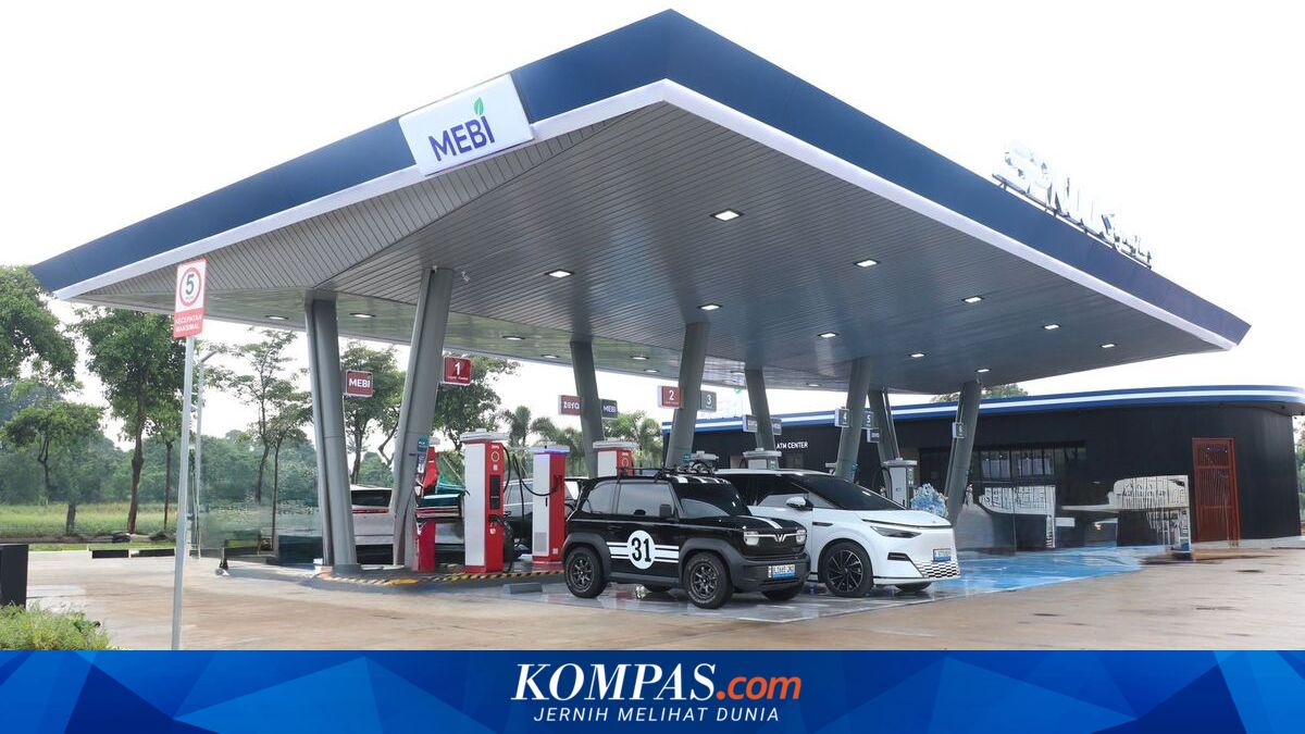 The Future of EVs: Evaluating Incentive Disparities Across Regions