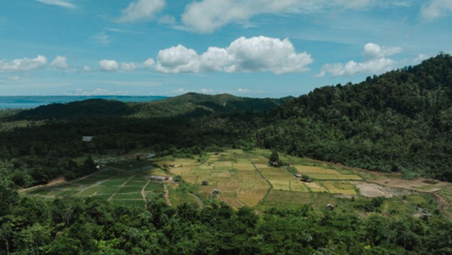 Synergy Between Farmers and Industry to Create Food Security in Mining Areas