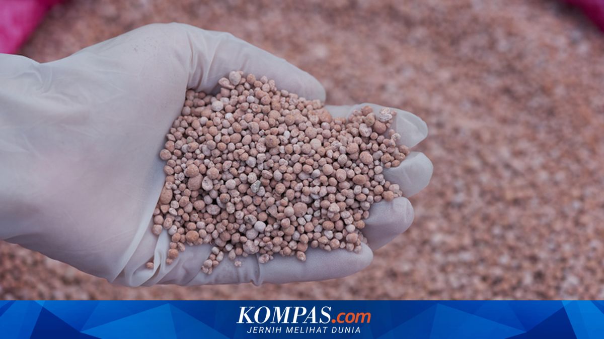 Domestic Supply Surplus: Indonesia's Fertiliser Production Eyed by Other Countries