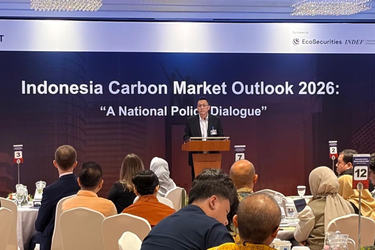 Indonesia opens trial for carbon registry ahead of July rollout