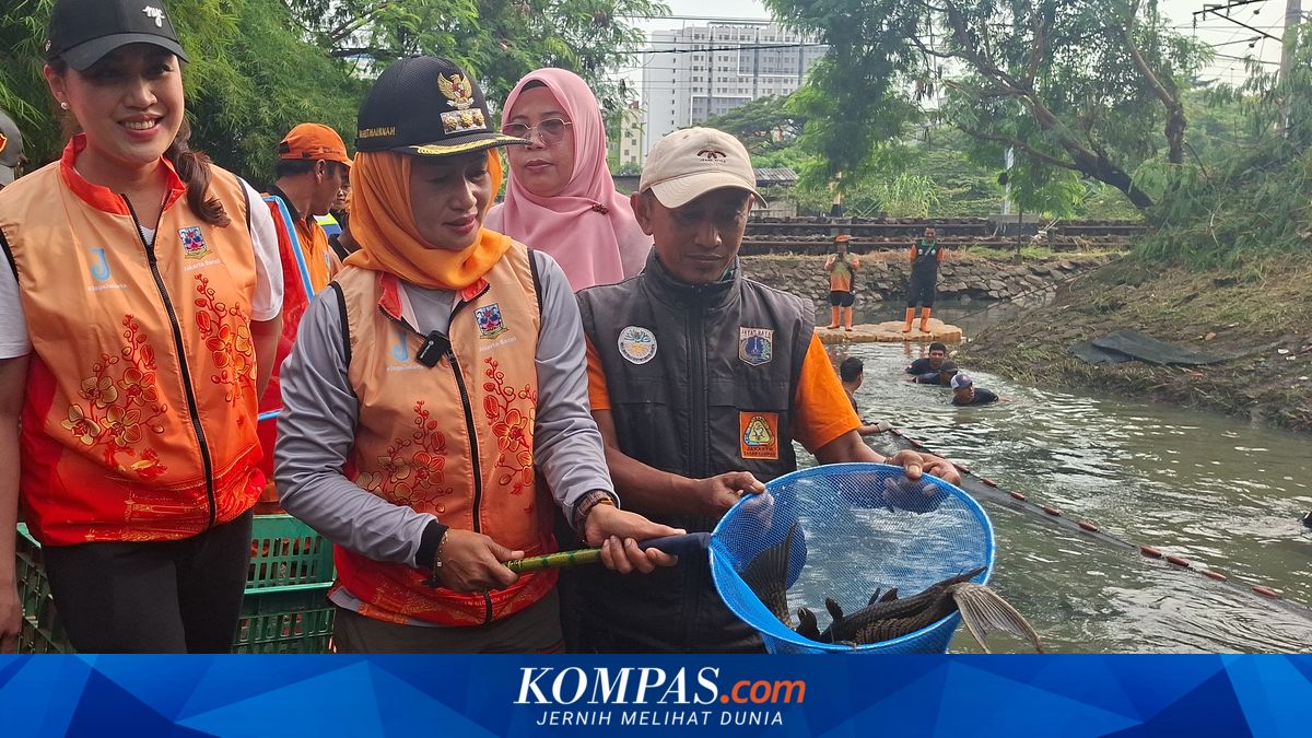 DKI DPRD Highlights Risk of Siomay Made from Sapu-Sapu Fish, Calls for Stricter Oversight