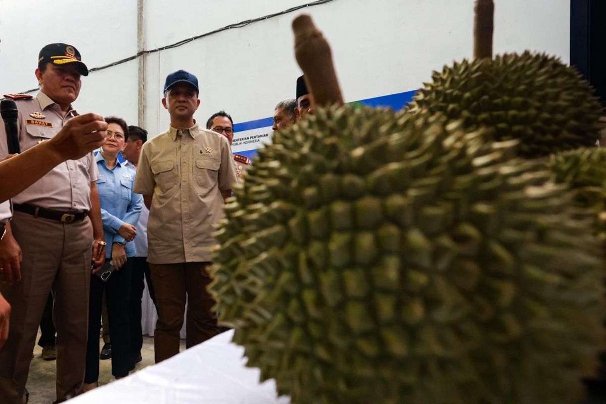 Transmigration Minister Urges Transmigrants to Optimise Durian Export Opportunities to China