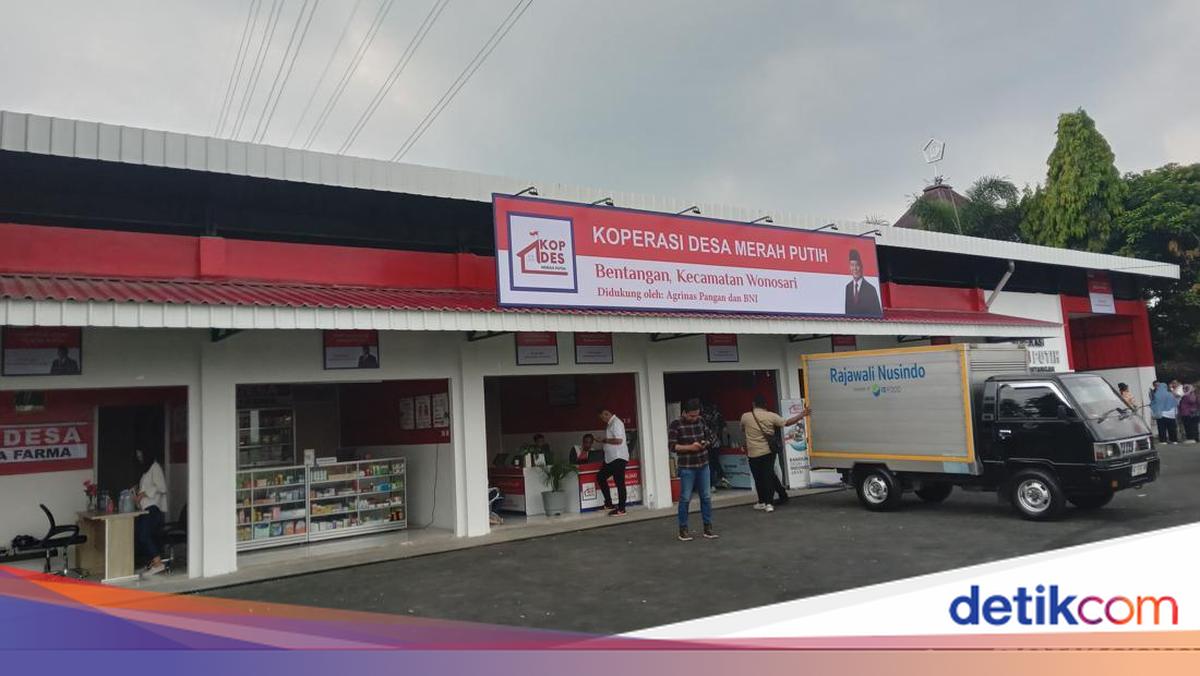 Kopdes Merah Putih Recruits 30,000 Managers: Requirements and Schedule