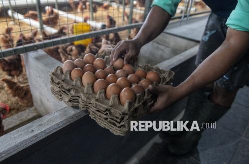 Food Price Information Centre: Chicken Eggs Rp32,300 per Kg, Red Bird's Eye Chillies Rp71,550 per Kg
