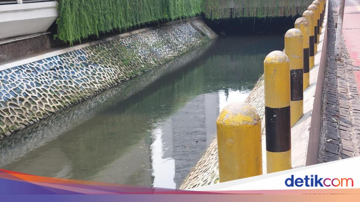 Condition of the Canal in Front of Plaza Indonesia After Cleaning from Sailfin Catfish
