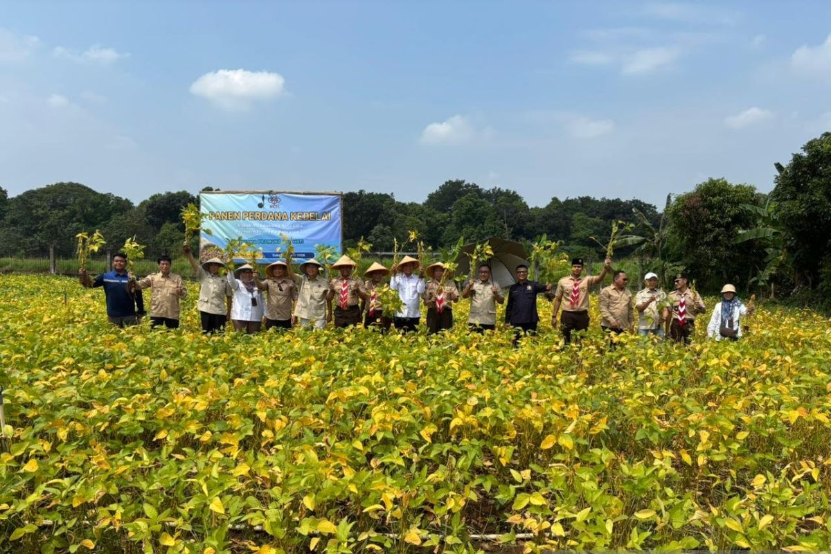 Scouts and HKTI build national food security through soybean planting