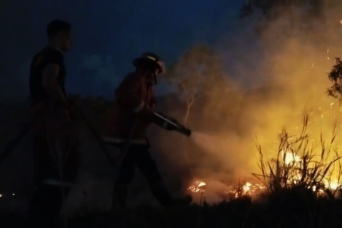 Natuna Regency Extinguishes Fire Burning Four Hectares of Land