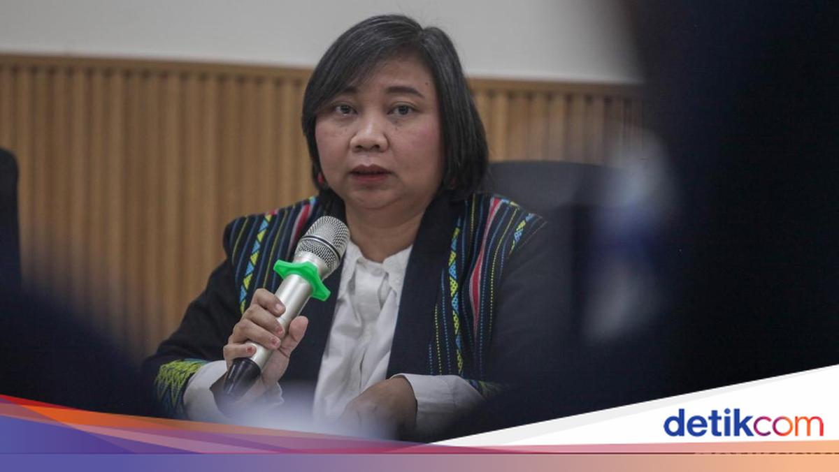 Komnas HAM: TPNPB-OPM Operation Results in Civilian Casualties, Violating Human Rights