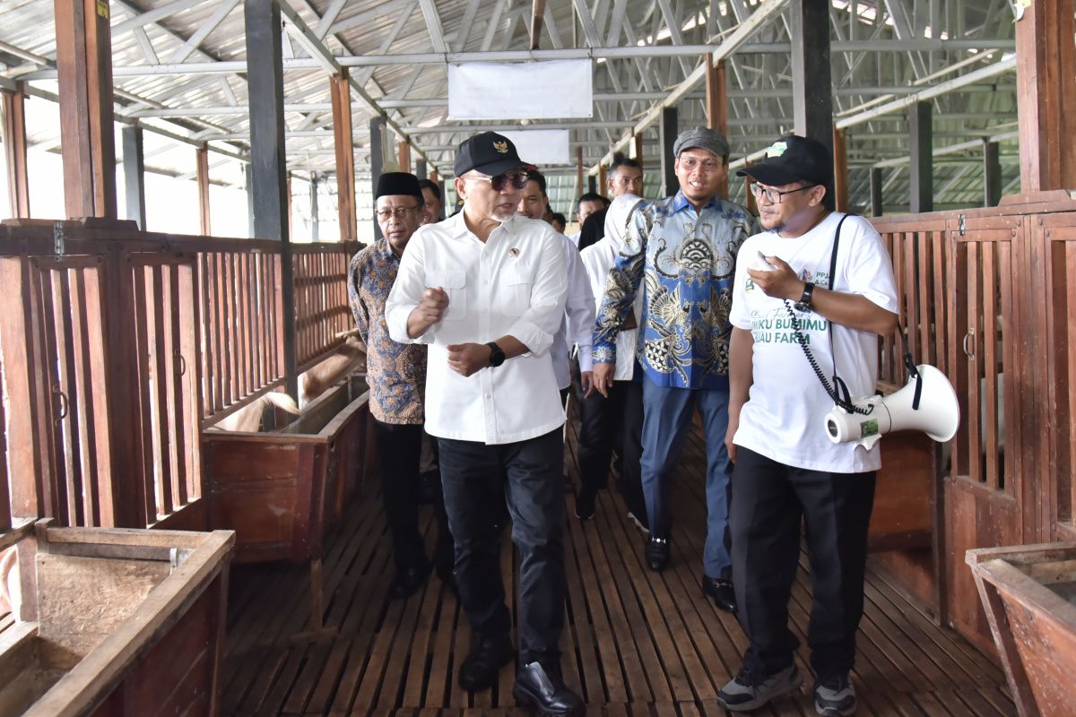 Zulhas: Synergy is the Key to Strengthening National Food Security