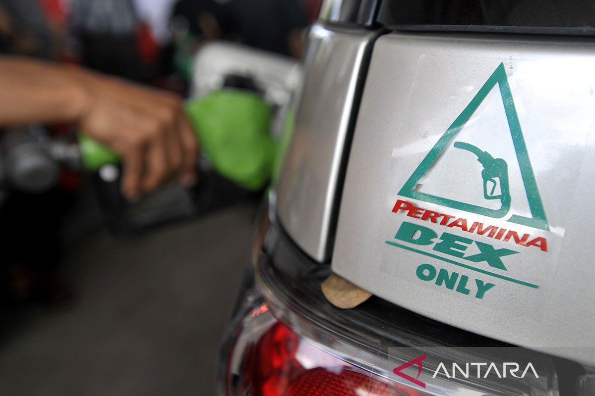 Non-subsidised fuel prices rise, Celios warns of need for subsidised fuel oversight