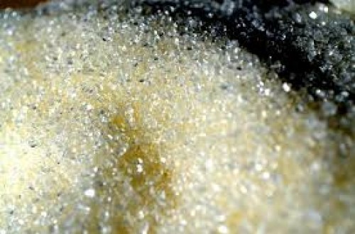 Achieving Sugar Self-Sufficiency by 2026
