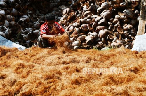Ministry of Cooperatives Pushes Coconut Downstreaming, Transforming Coconut Husk Waste into Valuable Export Commodity