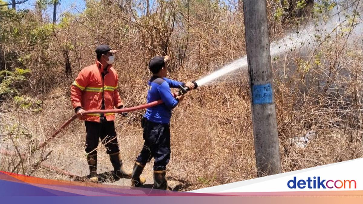 Land Fires Threaten Karangasem During Dry Season, Residents Urged to Stay Vigilant