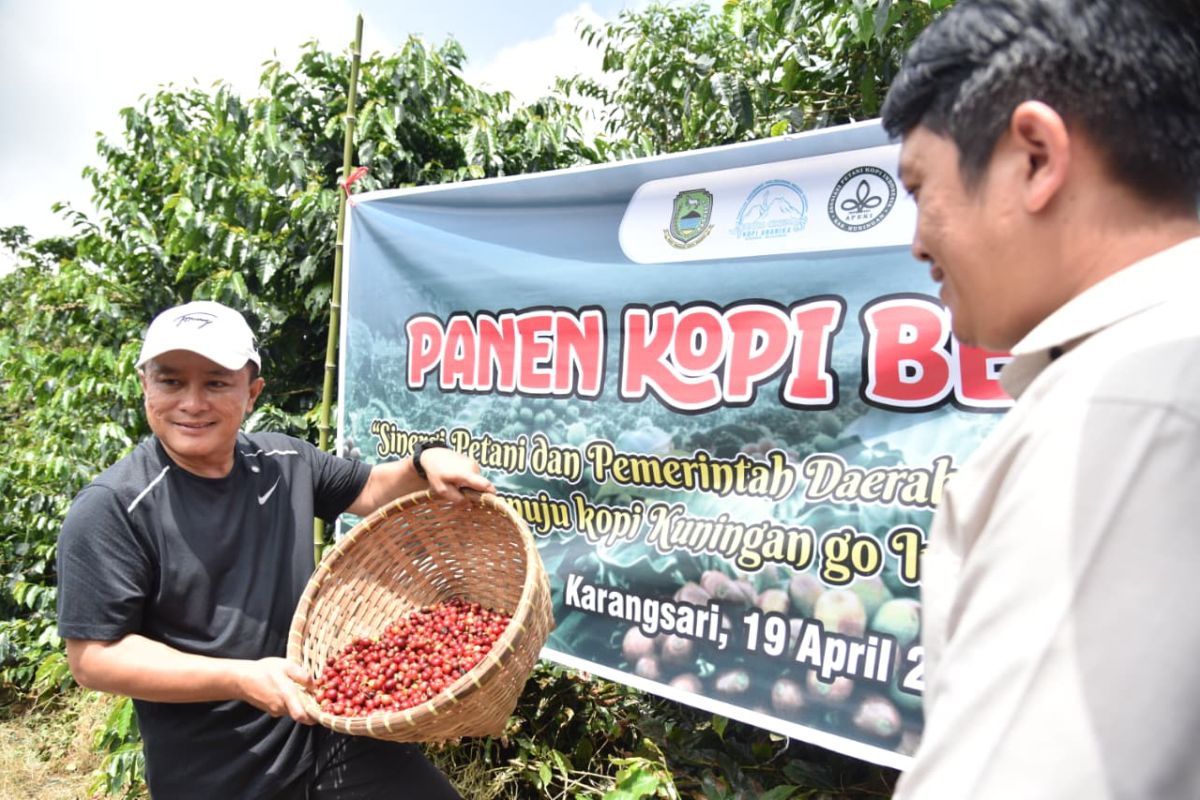 Regent: Coffee from Kuningan has potential to penetrate global markets
