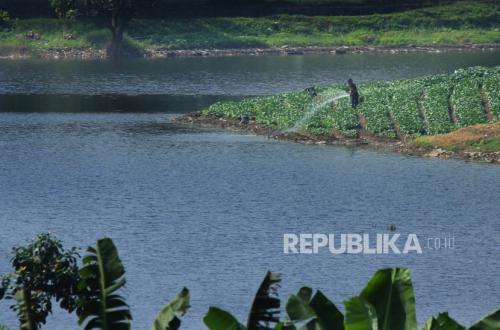 Java-Bali Electricity Supply at Risk Due to Water Hyacinth Covering Saguling Reservoir